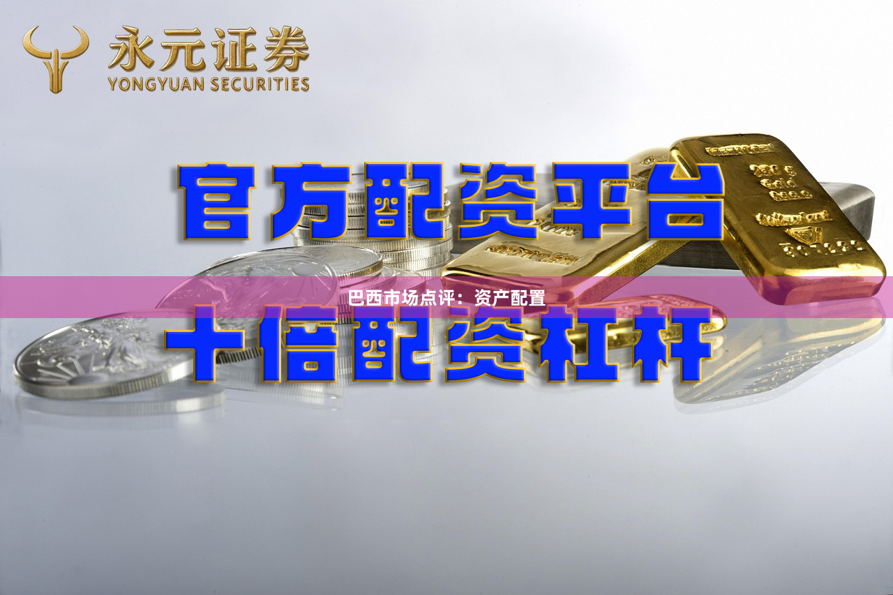 巴西市场点评：资产配置